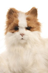 Fototapeta premium Toy cat