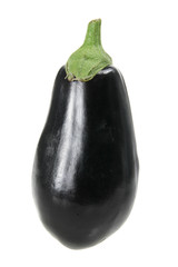 Eggplant