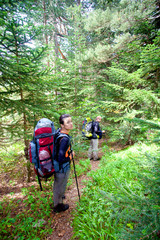 Hiker in forest