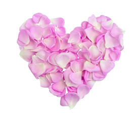 Obraz premium Heart with pink petals