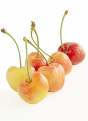 multicolor sweet cherries