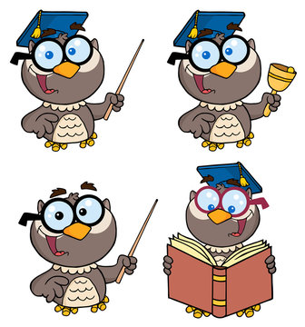 Owl Teacher-Vector Collection