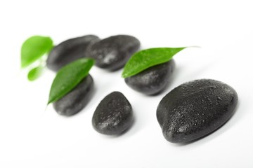 black stones and green leaves