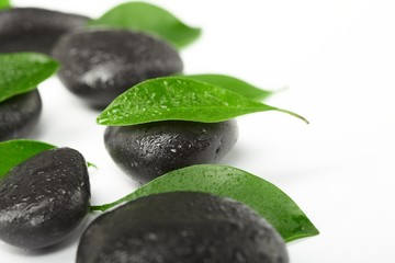 black stones and green leaves