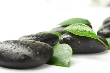 black stones and green leaves