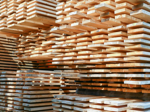 freshly sawed planks stapled outdoors