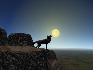 lobo © anibal