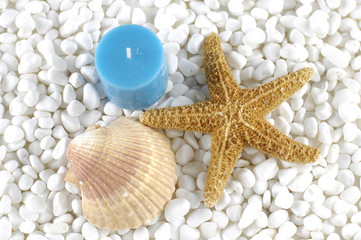 Fototapeta na wymiar Seashells and starfish and blue candle on white pebbles