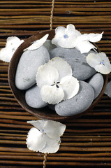 Obraz na płótnie Canvas wooden bowl of stones and hydrangea flower on mat