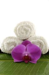 flower and towels on banana leaf