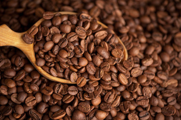 Coffee beans close up
