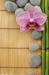 spa frame -pink orchid and gray stones with bamboo grove on mat