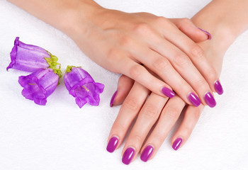 Top view of woman hands with purple manicure and flowers