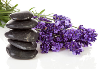 Fototapeta na wymiar stacked black steping stones and lavender flowers