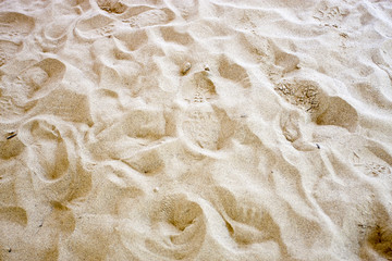 footprint