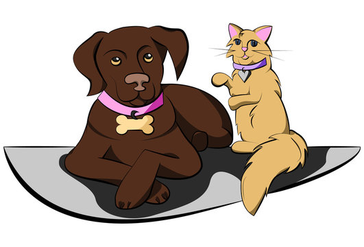 Cat and Dog with ID Tags