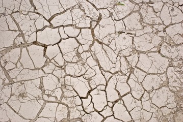 texture barren earth