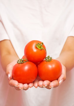 ripe tomatoes in the hands of a girl