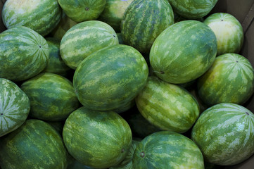 Watermelons bunched together at a farm store bin
