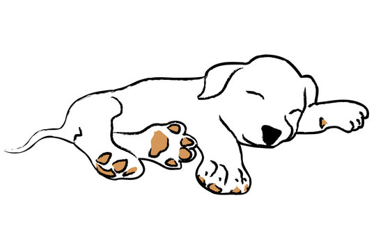 how to draw cute dog - how to draw | findpea.com-saigonsouth.com.vn