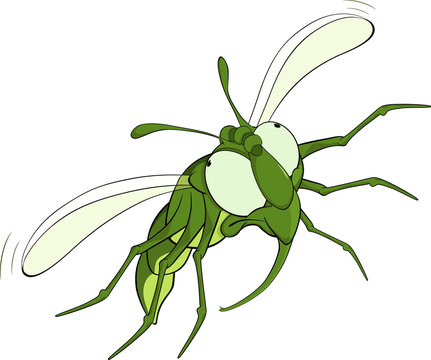 The scared green fly.Cartoon