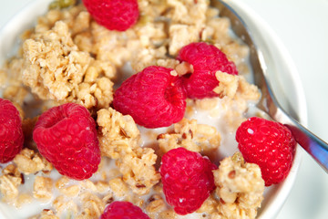 Cereal Bowl