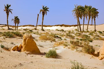 Door stickers Tunisia chott el jerid, desert, oasis, tunisia