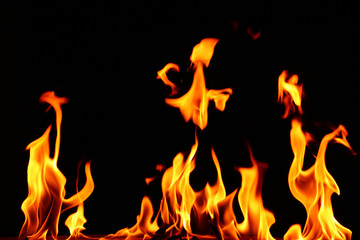 Fototapeta premium fire flame