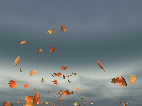 feuillage d'automne
