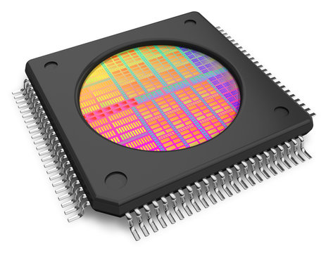 Microchip with visible die