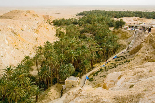 chebika oasis, tunisia