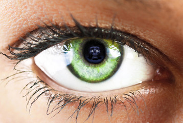 girl's green eye close up with skull reflected  green eye close