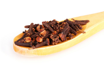 spice clove in spoon isolated on white