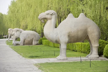 Rolgordijnen Avenue of the Animals, Beijing, China. In the site there are tom © TravelWorld
