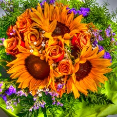 Fototapeta premium Blumenstrauß Sonnenblumen HDR