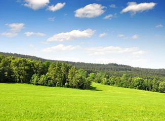 Spring landscape in the national park Sumava - Czech Republic