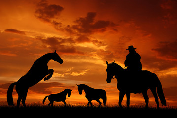 Silhouette cowboy with horses in the sunset