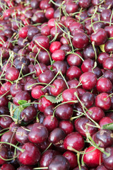 Chelam Cherry pile