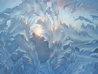 frost and sun on winter glass