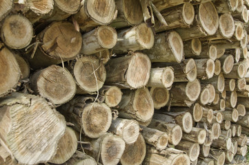 Log