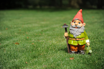 Fototapeta premium Garden Gnome