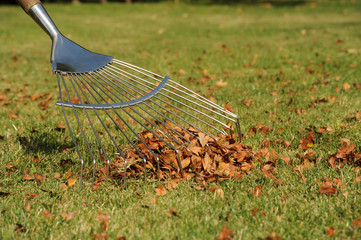Leaf raking