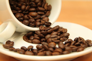 cup of coffee
