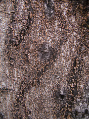 texture