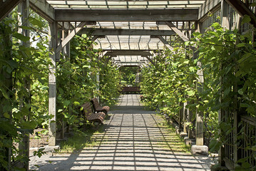 Pergola in a botanical garden