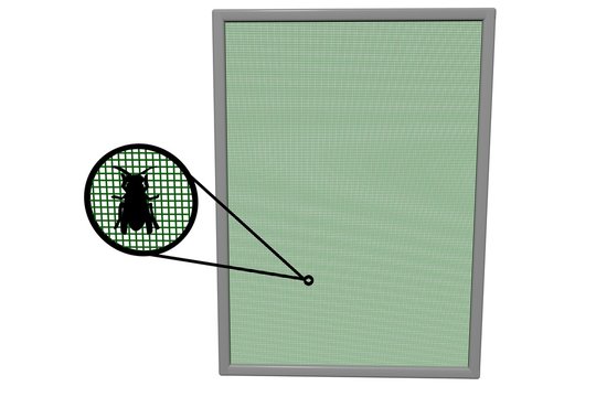Insektenschutz