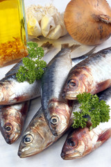 frische Sardinen vor der Zubereitung als Speise