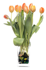 tulips in a vase