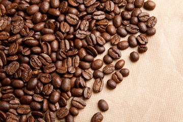 Fototapeta premium Coffee Bean