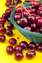 Studioaufnahme von frisch gepflückten Kirschen